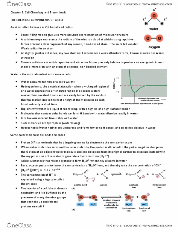 ANT100Y1 Chapter Notes -Chemical Polarity, Protein Subunit, Phosphodiester Bond thumbnail