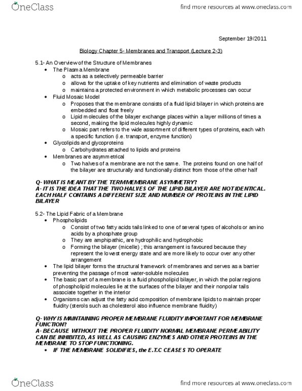 Biology 1001A Lecture Notes - Fluid Mosaic Model, Lipid Bilayer, Membrane Transport Protein thumbnail
