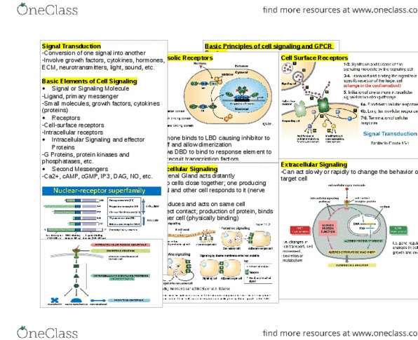 Biology 2382B Lecture Notes - Lecture 9: Response Element, G Protein, Cyclic Adenosine Monophosphate thumbnail