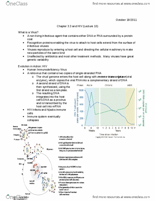 Biology 1001A Lecture Notes - Lecture 10: Hiv, Reverse Transcriptase, Immune Receptor thumbnail