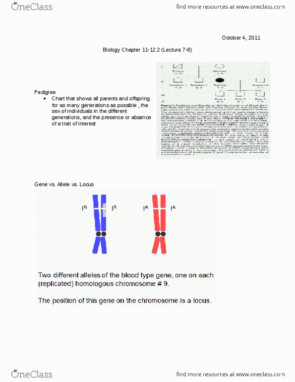 Biology 1001A Lecture Notes - Lecture 7: Abo Blood Group System, Walter Sutton, Mendelian Inheritance thumbnail