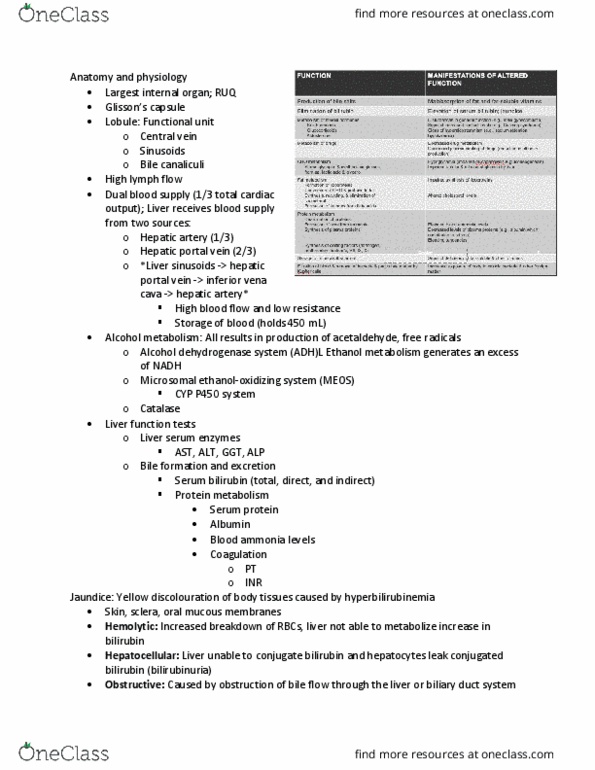 PAT 20A/B Lecture Notes - Lecture 11: Portal Vein, Liver Function Tests, Bile Canaliculus thumbnail