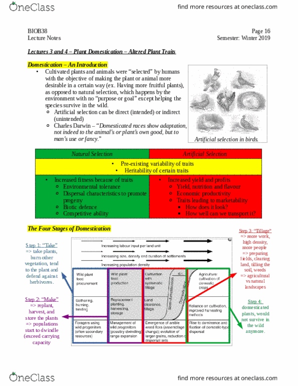 BIOB38H3 Lecture Notes - Lecture 2: Selective Breeding, Tillage, Herbivore thumbnail