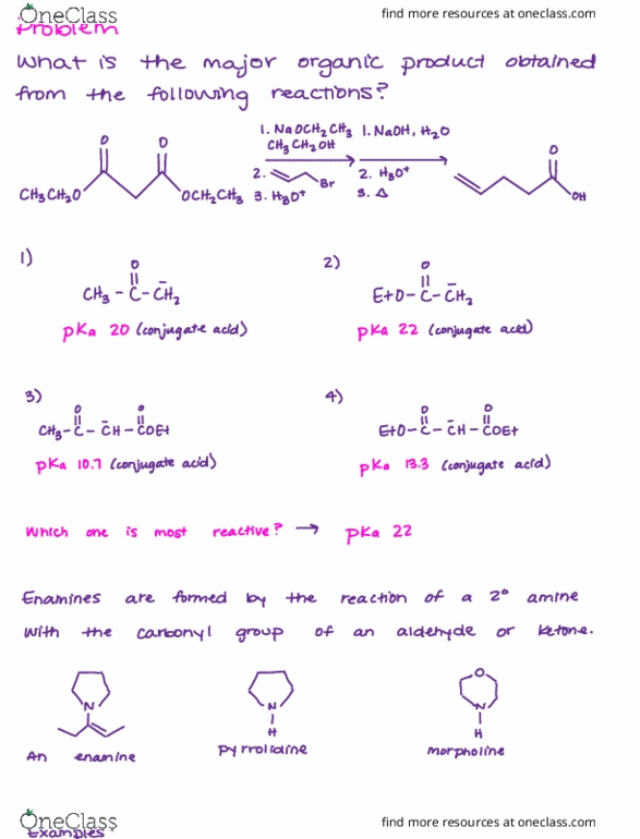 CHEM 342 Lecture Notes - Lecture 22: Pyrrolidine, Enamine, Morpholine thumbnail