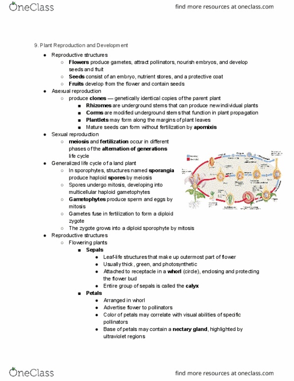 BIOL 112 Lecture Notes - Lecture 9: Plant Propagation, Apomixis, Asexual Reproduction thumbnail