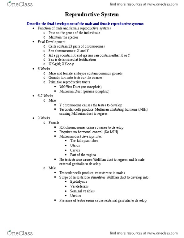 Physiology 2130 Chapter Notes -Male Reproductive System, Vas Deferens, Seminiferous Tubule thumbnail