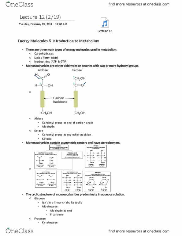 BIOSC 1000 Lecture Notes - Lecture 12: Aldohexose, Aldehyde, Ketose thumbnail