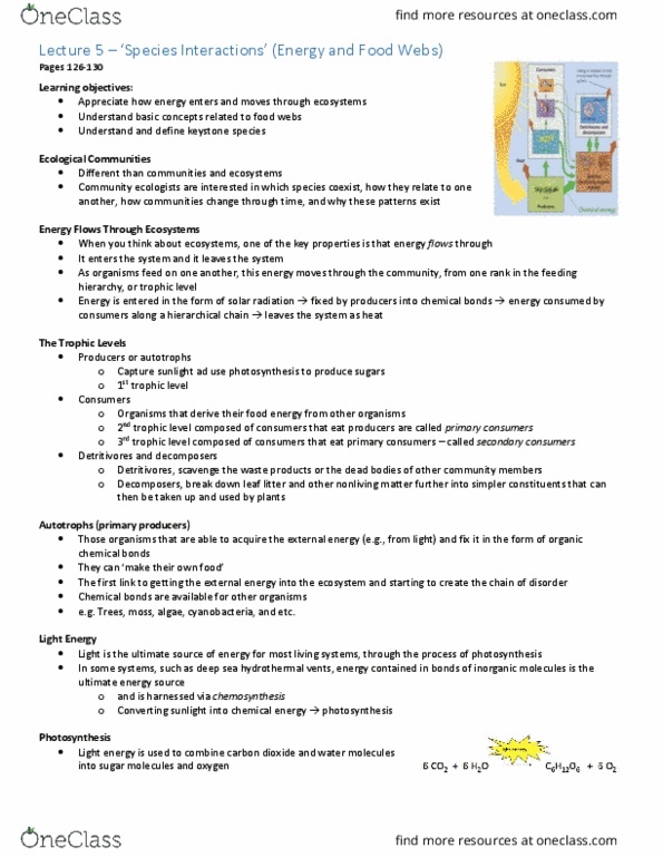 Biology 2485B Lecture Notes - Lecture 5: Keystone Species, Detritivore, Radiant Energy thumbnail