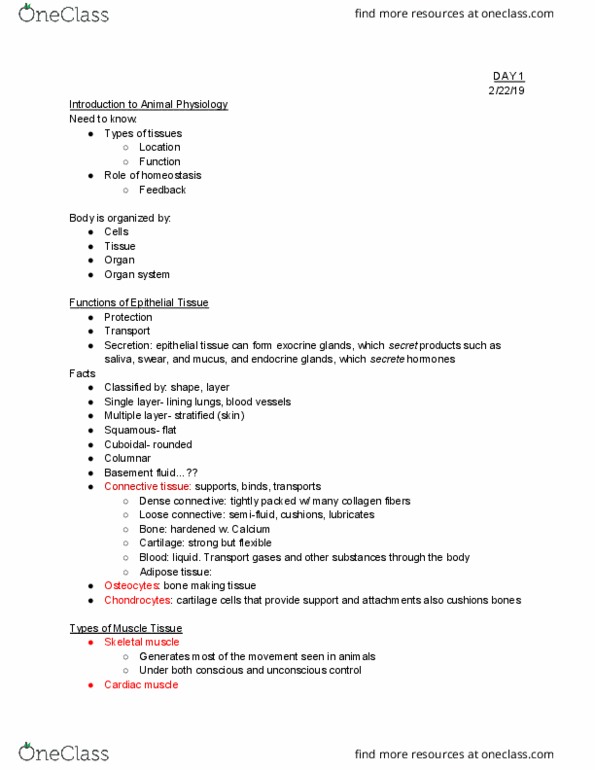 BIOL 102 Lecture Notes - Lecture 3: Epithelium, Adipose Tissue, Cardiac Muscle thumbnail