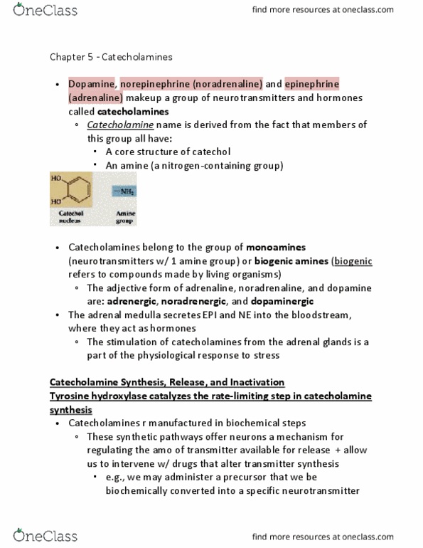PSYC62H3 Chapter Notes - Chapter 5.3: Tyrosine Hydroxylase, Adrenal Medulla, Catecholamine thumbnail