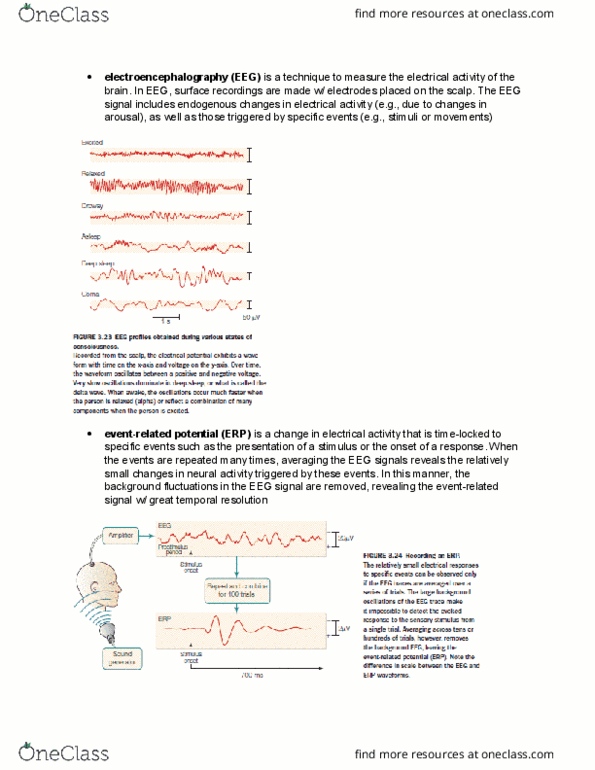 PSYB55H3 Chapter Notes - Chapter 3.10: Electroencephalography thumbnail