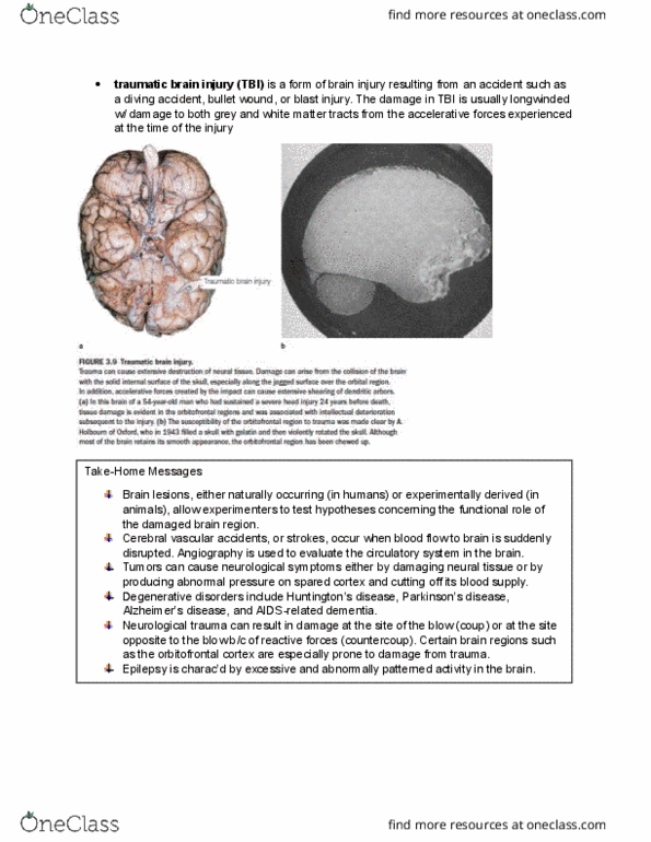 PSYB55H3 Chapter Notes - Chapter 3.5: Traumatic Brain Injury, Orbitofrontal Cortex, Blast Injury thumbnail