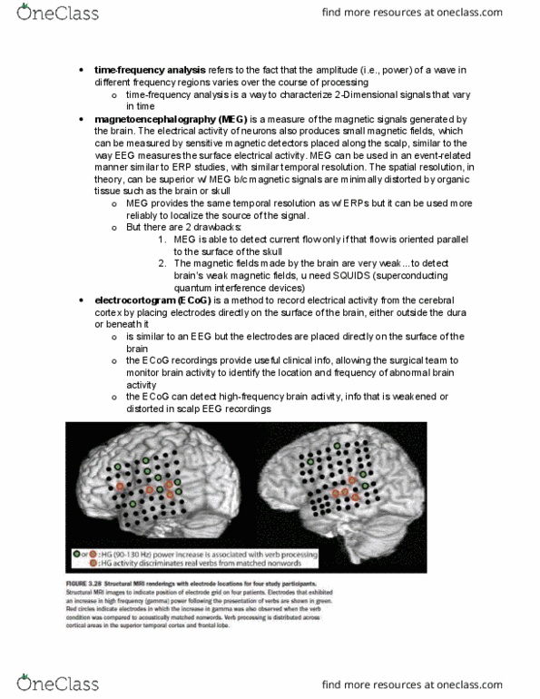 PSYB55H3 Chapter Notes - Chapter 3.11: Cerebral Cortex, Electroencephalography thumbnail