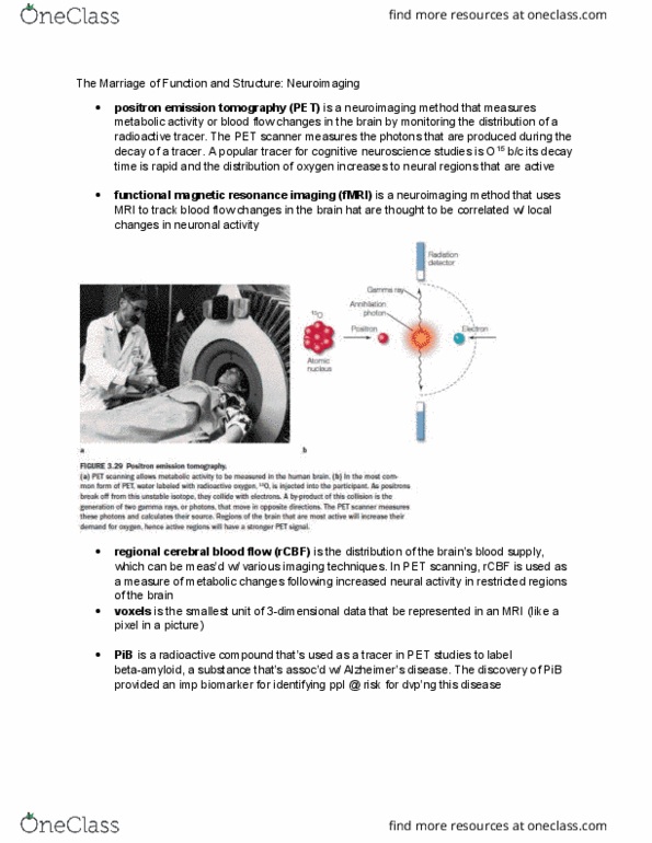 PSYB55H3 Chapter Notes - Chapter 3.12: Functional Magnetic Resonance Imaging, Radioactive Tracer, Cerebral Circulation thumbnail