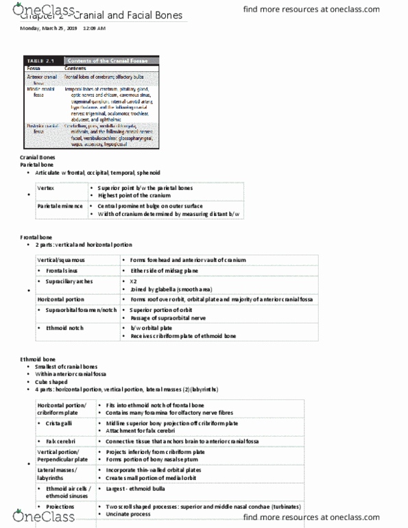 MEDRADSC 2RA3 Chapter Notes - Chapter 2: Anterior Cranial Fossa, Falx Cerebri, Ethmoid Sinus thumbnail