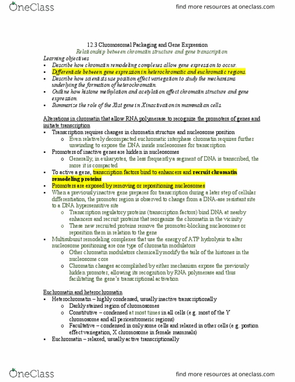 BIOL 2296 Chapter Notes - Chapter 12.3: Nucleosome, Deoxyribonuclease, Heterochromatin thumbnail