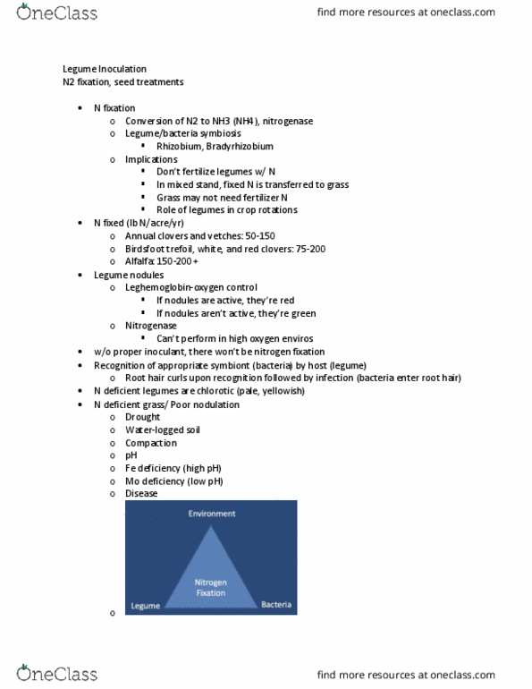 ANFS602 Lecture Notes - Lecture 8: Lotus Corniculatus, Chlorosis, Nitrogen Fixation thumbnail