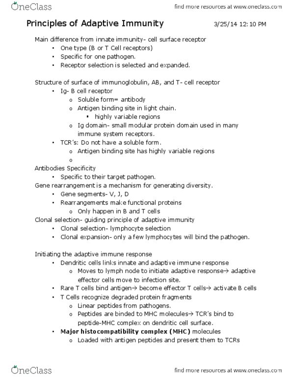 CAS BI 385 Lecture Notes - B-Cell Receptor, Adaptive Immune System, Cytotoxic T Cell thumbnail