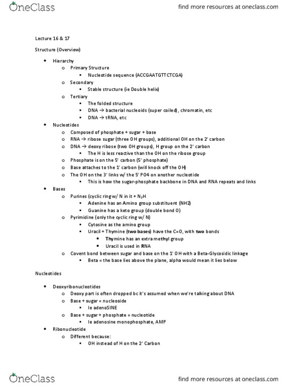 MBB 222 Lecture Notes - Lecture 16: Nucleic Acid Sequence, Nucleic Acid Double Helix, Ribose thumbnail