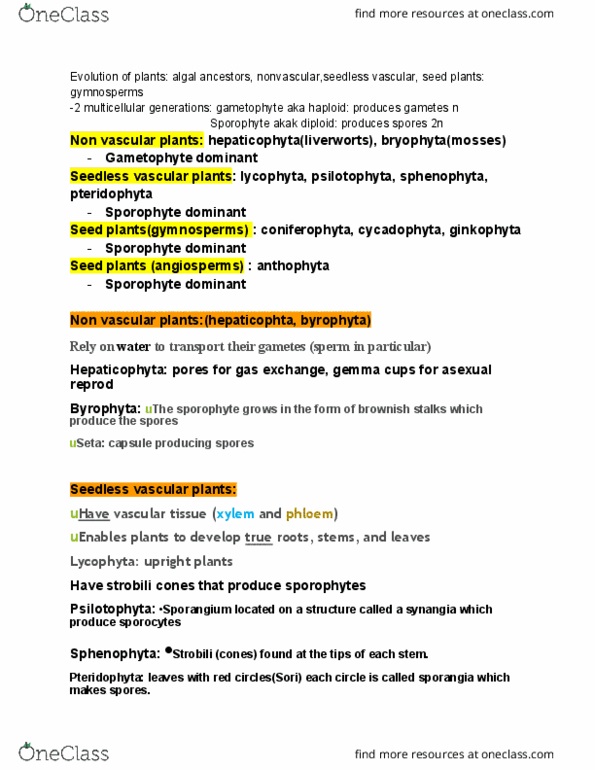 BIO 122 Lecture Notes - Lecture 5: Equisetopsida, Lycopodiophyta, Sporangium thumbnail