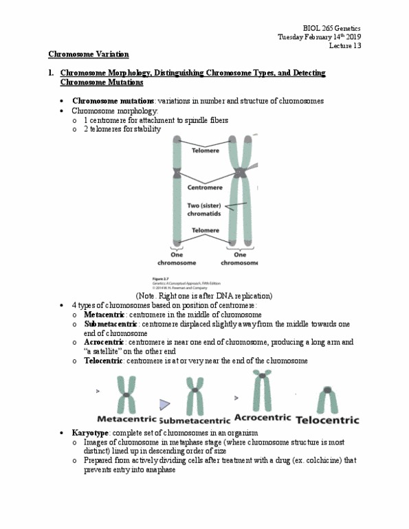 BIOL 265 Lecture 13: Chromosome Variation (Part 1) thumbnail