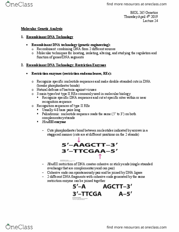BIOL 265 Lecture Notes - Lecture 24: Recombinant Dna, Hindiii, Dna Ligase thumbnail