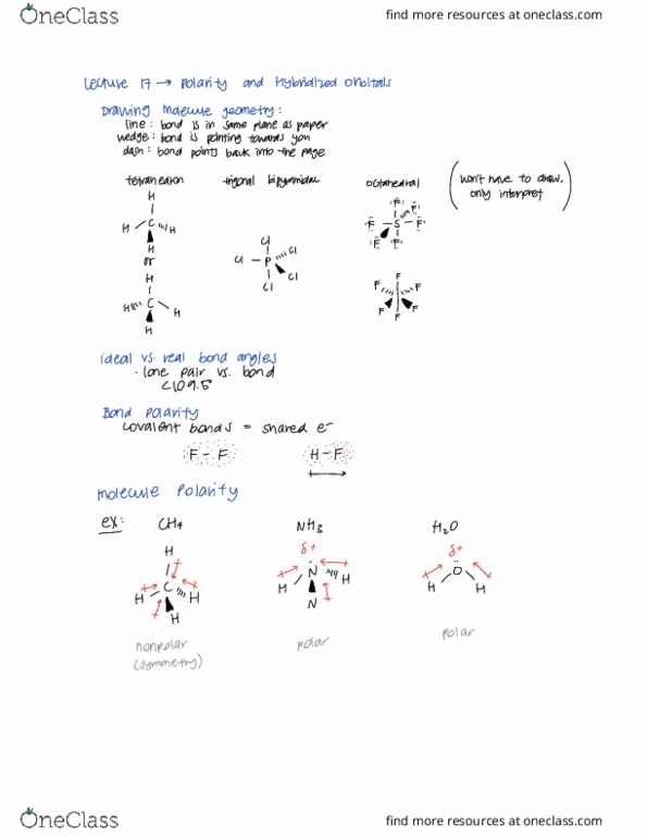 CHE 2A Lecture Notes - Lecture 5: Lone Pair, Covalent Bond, Pci Express thumbnail