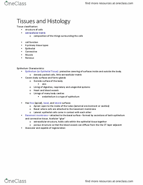 KINESIOL 1A03 Lecture Notes - Lecture 7: Non-Cellular Life, Keratin, Elastin thumbnail