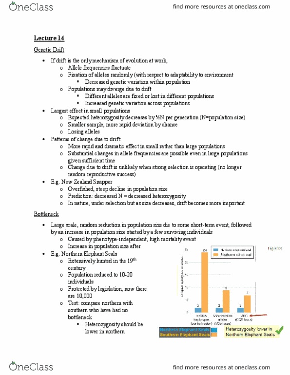 BIOB51H3 Lecture Notes - Lecture 14: Australasian Snapper, Allele Frequency, Zygosity thumbnail