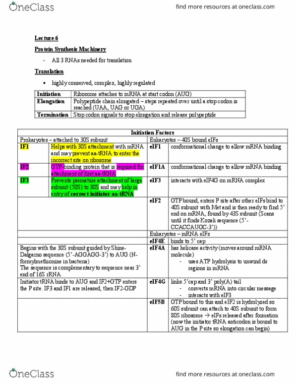 BIOB11H3 Lecture Notes - Lecture 6: Kozak Consensus Sequence, Eukaryotic Initiation Factor 3, Eif2 thumbnail