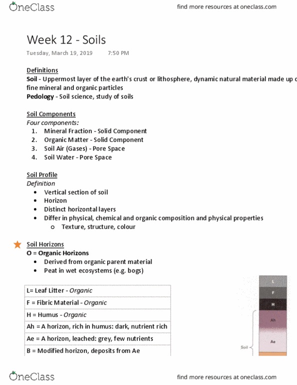 GEOG 1010 Lecture Notes - Lecture 12: Soil Texture, Soil Horizon, Humus thumbnail