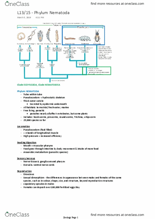BLG 316 Lecture Notes - Lecture 13: Hydrostatic Skeleton, Trichinella, Trichuris Trichiura thumbnail