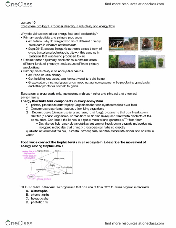 BIOLOGY 171 Lecture Notes - Lecture 19: Ecosystem Services, Detritivore, Autotroph thumbnail