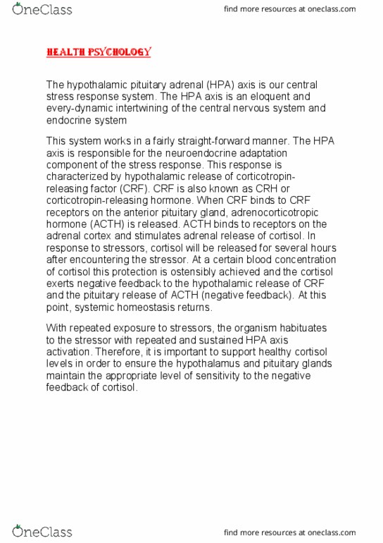 101193 Lecture Notes - Lecture 14: Corticotropin-Releasing Hormone, Adrenocorticotropic Hormone, Hypothalamus thumbnail