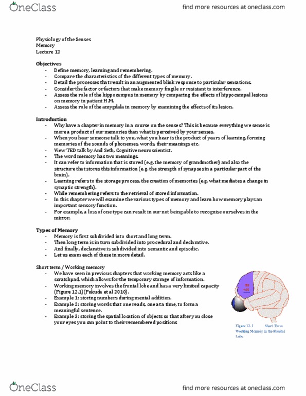 Physiology 4710A/B Lecture Notes - Lecture 12: Explicit Memory, Long-Term Memory, Cognitive Neuroscience thumbnail