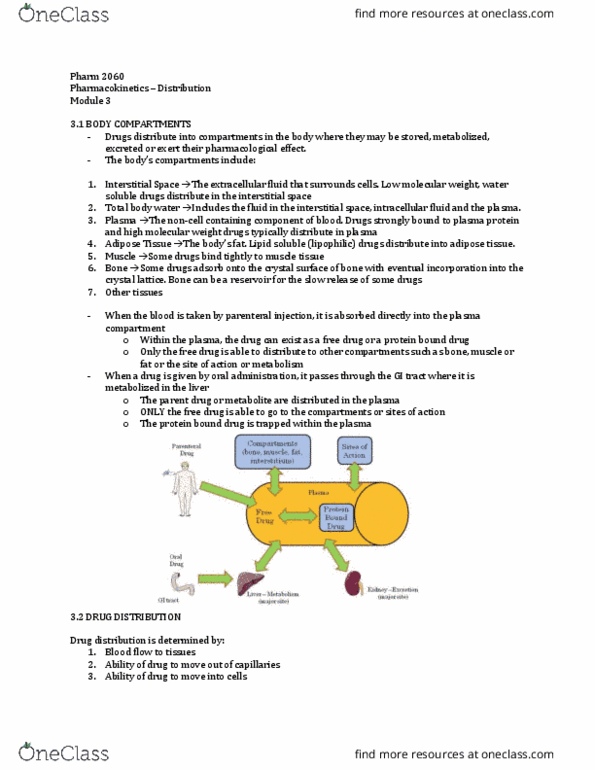 Pharmacology 2060A/B Lecture Notes - Lecture 3: Plasma Protein Binding, Body Water, Fluid Compartments thumbnail