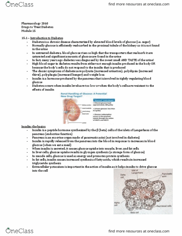 Pharmacology 2060A/B Lecture Notes - Lecture 15: Chronic Kidney Disease, Insulin Resistance, Proximal Tubule thumbnail