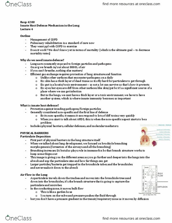 Physiology 4200A/B Lecture Notes - Lecture 4: Innate Immune System, Pulmonary Rehabilitation, Bronchiole thumbnail
