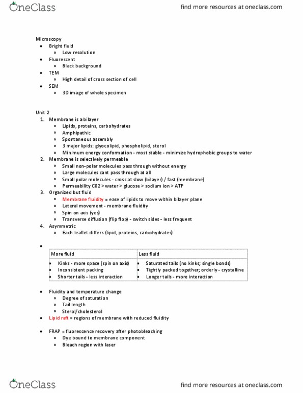 MICB 201 Lecture Notes - Lipid Raft, Membrane Fluidity, Photobleaching thumbnail