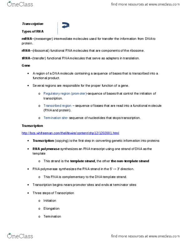 NATS 1670 Lecture Notes - Lecture 14: Rna, Ribosomal Rna, Ribosome thumbnail