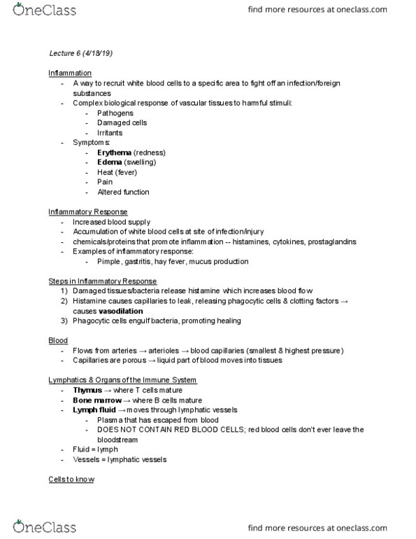 MCDB 21 Lecture Notes - Lecture 6: Bone Marrow, Gastritis, Erythema thumbnail