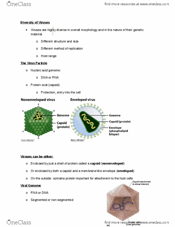NATS 1670 Lecture Notes - Viral Envelope, Chromosome, Cell Surface Receptor thumbnail