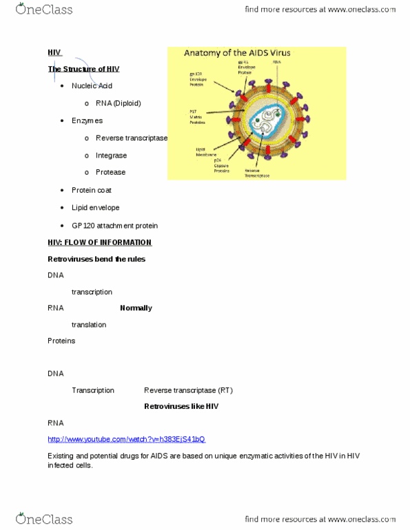 NATS 1670 Lecture Notes - Reverse Transcriptase, Integrase, Chemotherapy thumbnail