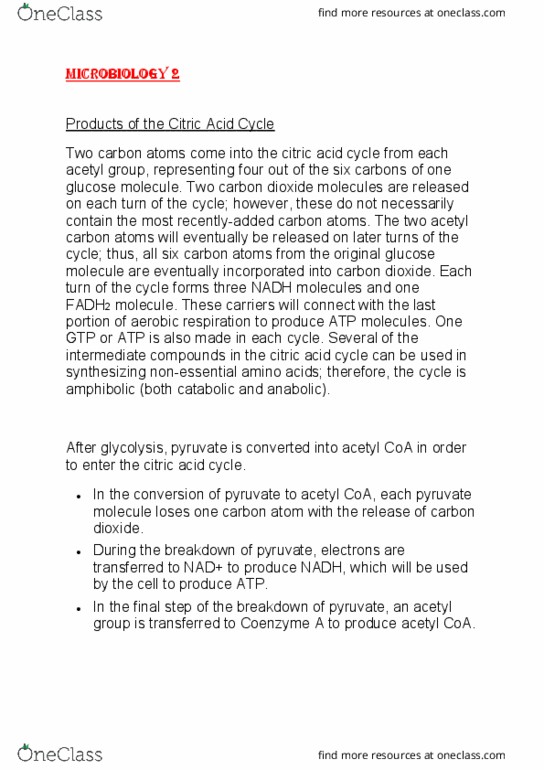 300896 Lecture Notes - Lecture 14: Citric Acid Cycle, Acetyl-Coa, Acetyl Group thumbnail