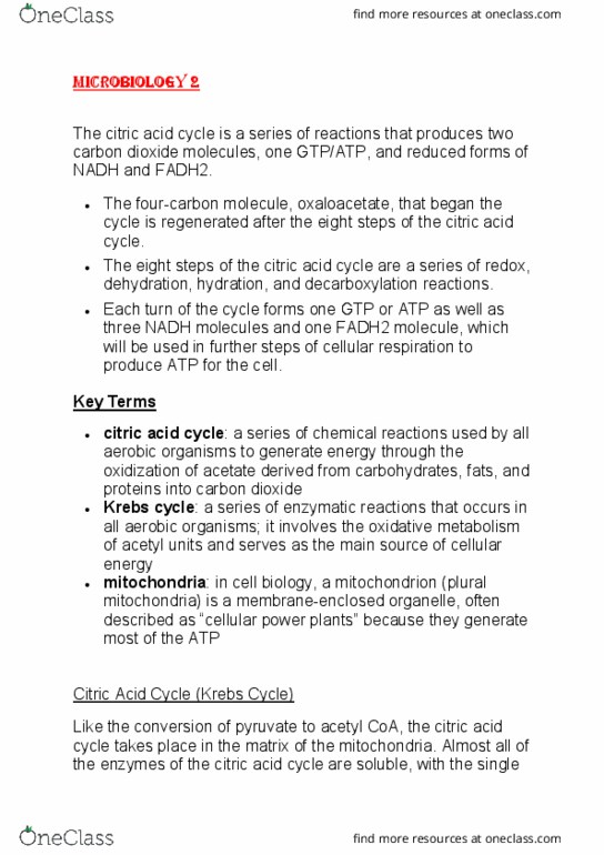300896 Lecture Notes - Lecture 12: Citric Acid Cycle, Acetyl-Coa, Decarboxylation thumbnail