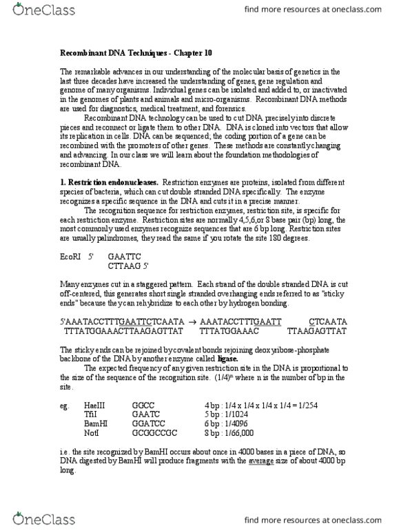 BIOL 261 Lecture Notes - Lecture 10: Bamhi, Restriction Site, Restriction Enzyme thumbnail