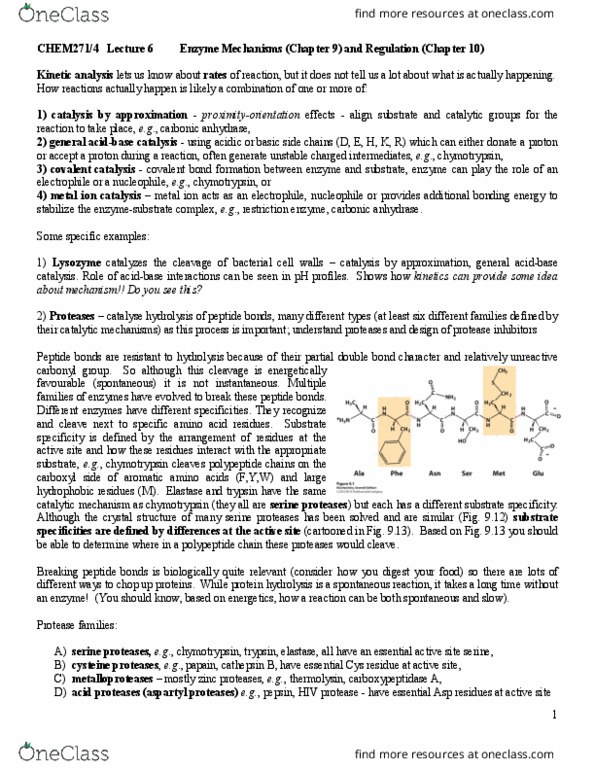 CHEM 271 Lecture Notes - Lecture 6: Serine Protease, Enzyme Catalysis, Aromatic Amino Acids thumbnail