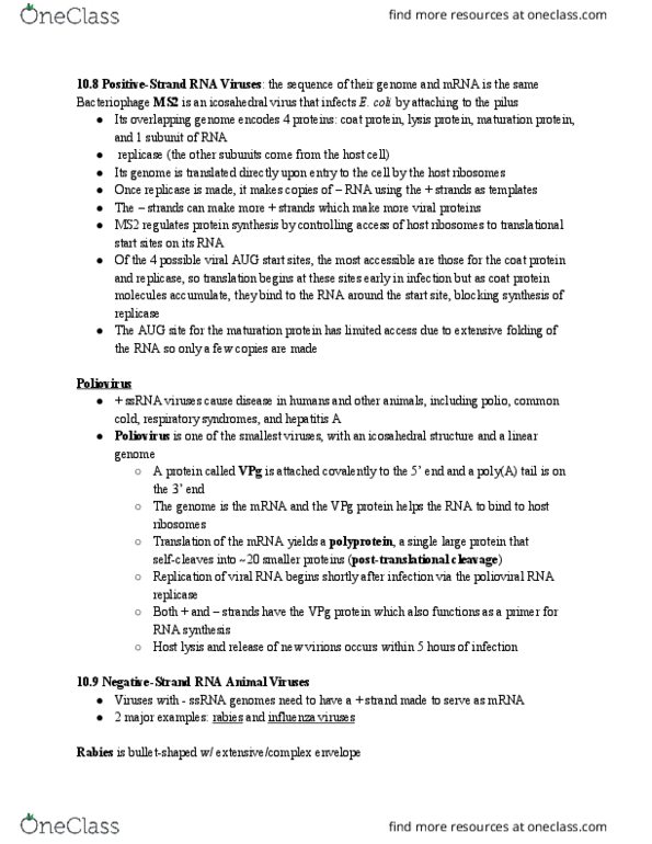 BSC 310 Lecture Notes - Lecture 55: Rna-Dependent Rna Polymerase, Poliovirus, Common Cold thumbnail