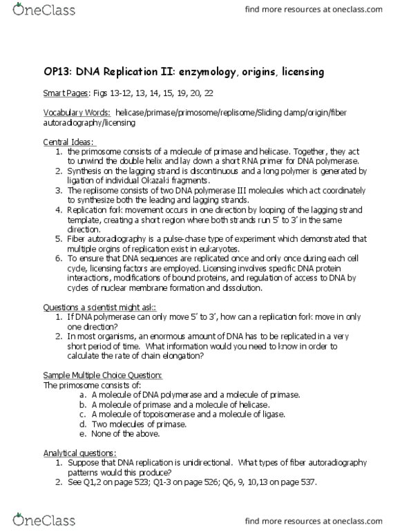 BIOB11H3 Lecture Notes - Lecture 13: Dna Replication, Okazaki Fragments, Autoradiograph thumbnail