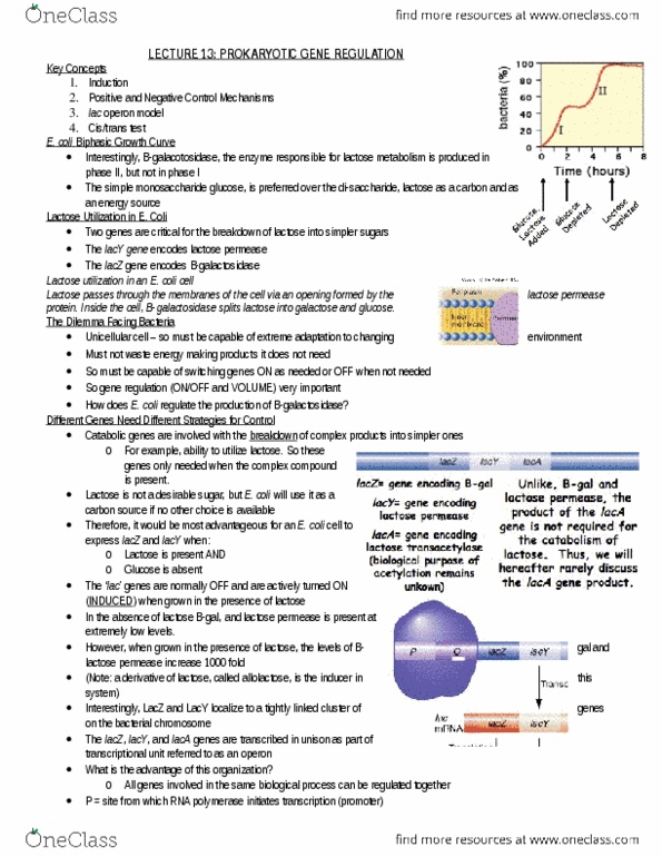 Biology 2581B Lecture Notes - Lecture 14: Lactose Permease, Lac Repressor, Lac Operon thumbnail